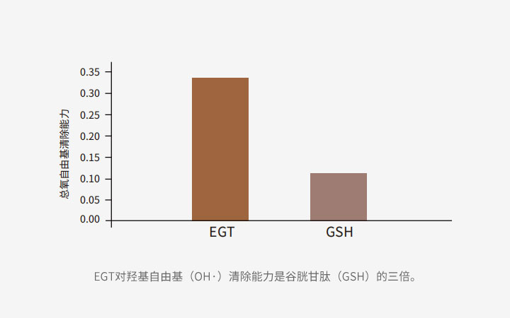 EGT对羟基自由基（OH·）清除能力是谷胱甘肽（GSH）的三倍。