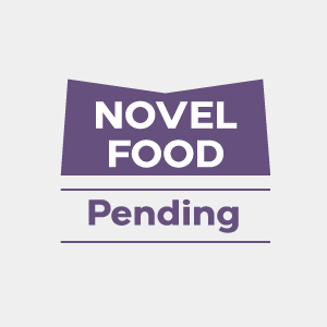 Uthever logo novel food 图标_画板 1