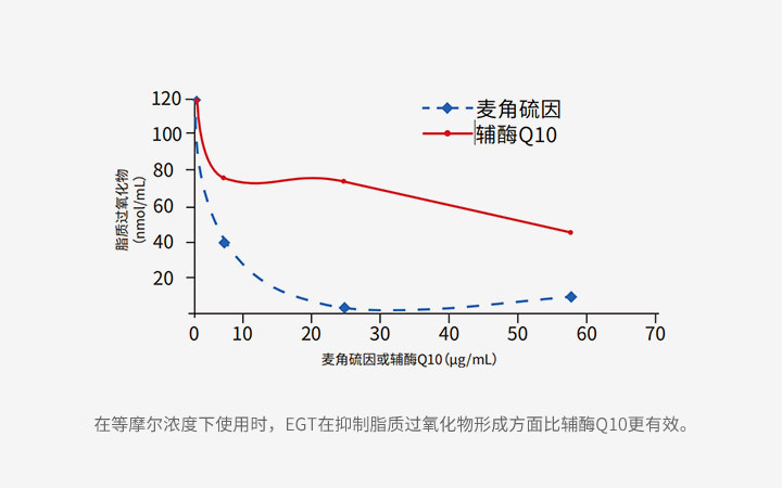 在等摩尔浓度下使用时，EGT在抑制脂质过氧化物形成方面比辅酶Q10更有效。