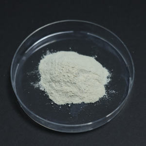 LipoAvail 脂质体焦磷酸铁粉末