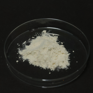 脂质体PEA粉末