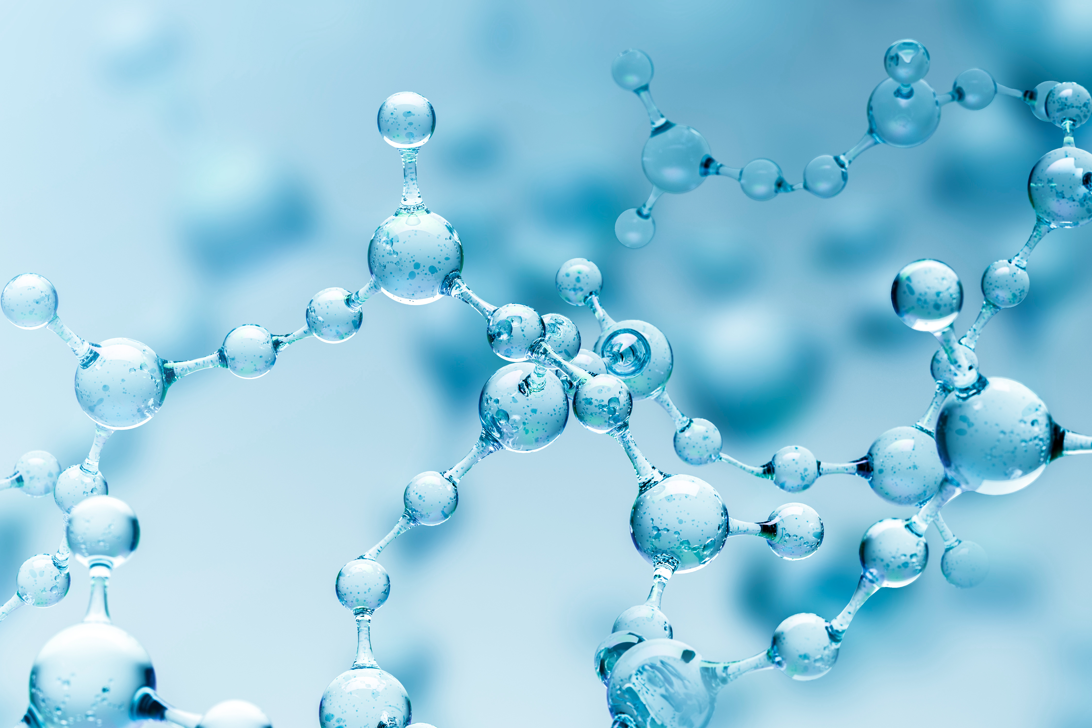 揭开Sirtuin家族的神秘面纱：从基础生物学到抗衰应用潜力