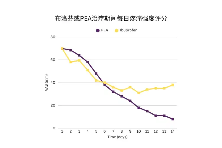 PEA网站配图