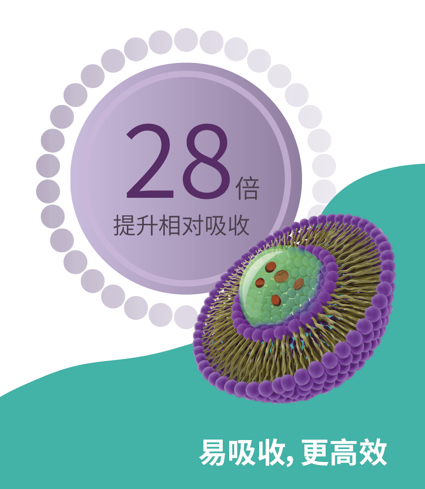 PEA脂质体 28倍提升相对吸收