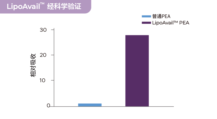 PEA脂质体提升28倍相对吸收