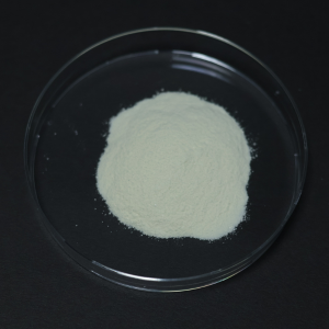 Liposomal NMN Powder