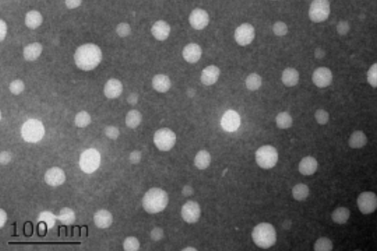 Liposomal NMN True Liposome Under TEM