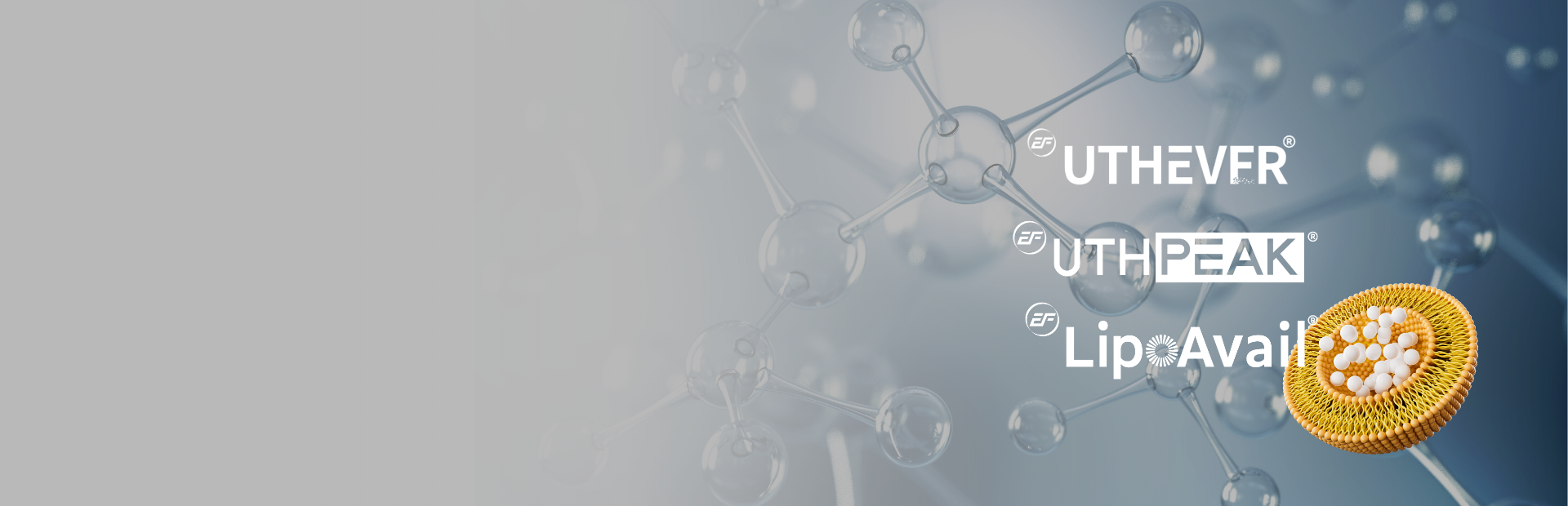 Banner - EffePharm Clinically Proven Solutions Provider with Uthever UthPeak LipoAvail